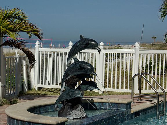 Watch the dolphins play