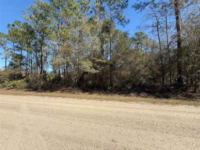 1573 Laurel Ave #5, Bunnell, FL, 32110