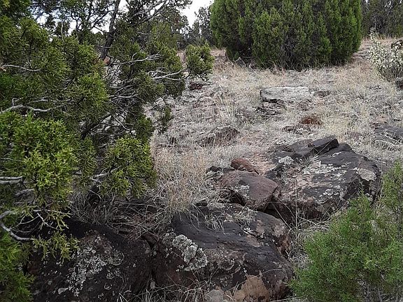 5th image of 1792 Queen Creek Pl