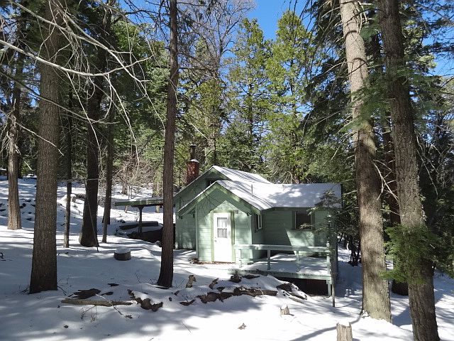 Cute cottage in the woods