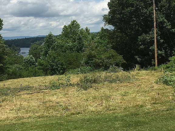 Photo of front 1/2 of lot.