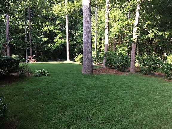 Beautiful yard