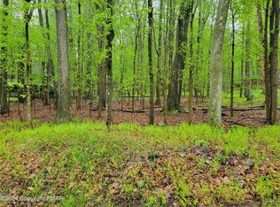 402 Locust Ln, Pocono Lake, PA 18347