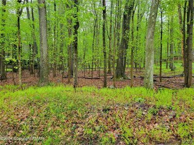 402 Locust Ln, Pocono Lake, PA, 18347