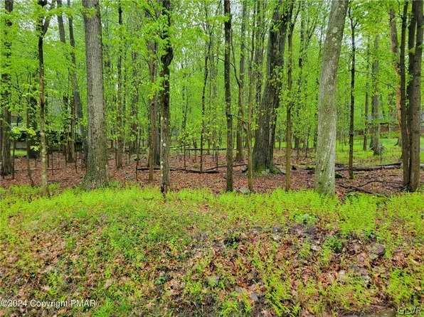 402 Locust Ln, Pocono Lake, PA 18347