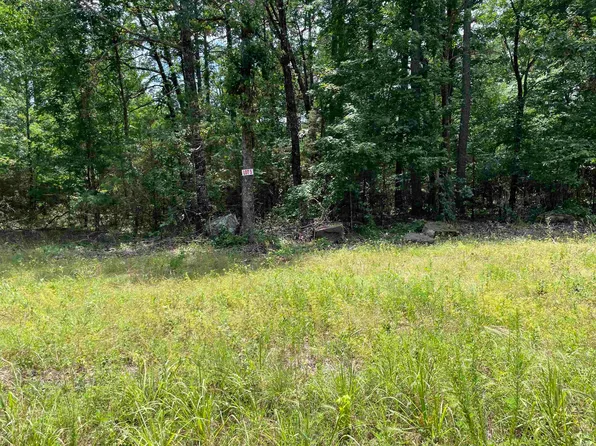 5 Pleasant Ridge Rd, Higden, AR 72067