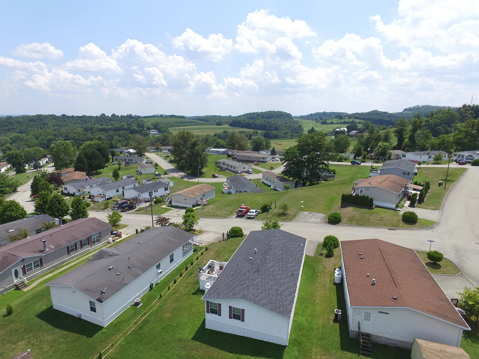 New Colony — Photo 2