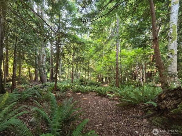 0 Cirque Drive, Brinnon, WA 98320