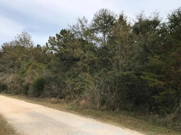 24050 River Rd N, Daphne, AL 36526
