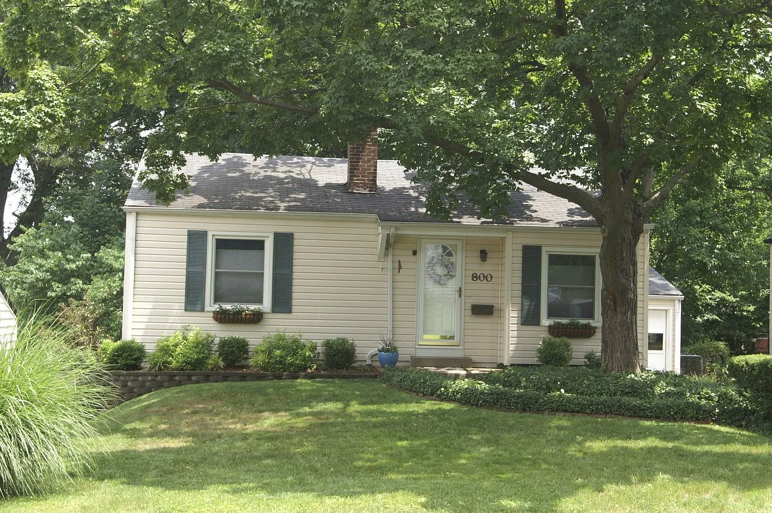 800 Lanvale Dr photo 1