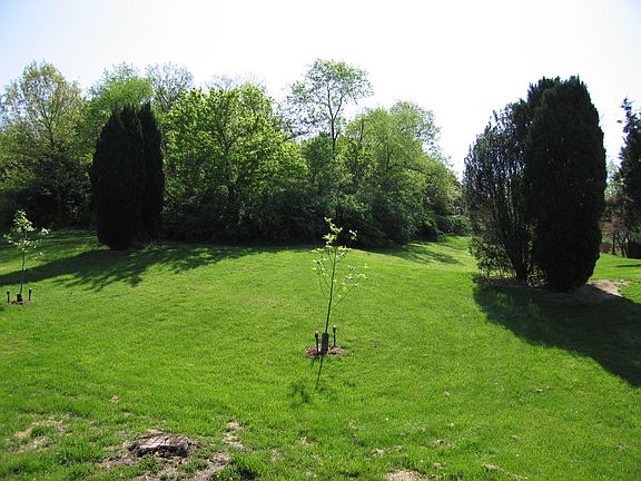 5th image of 13452 Woodstile Ct