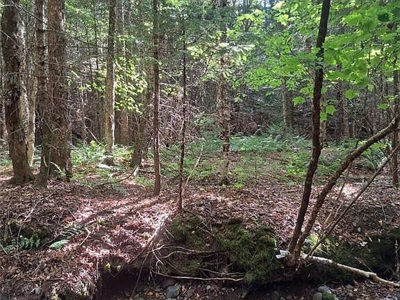 5th image of 0 Mosher Hill Rd
