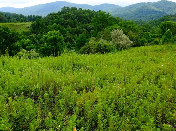 32 Windy Cv, Spruce Pine, NC 28777