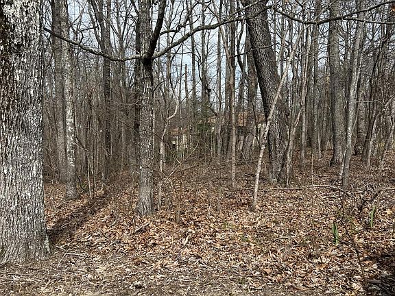 4th image of 144 Anglewood Dr