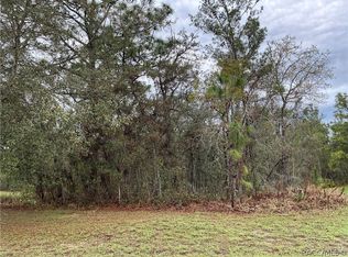19 Dahlia Ct N, Homosassa, FL 34446