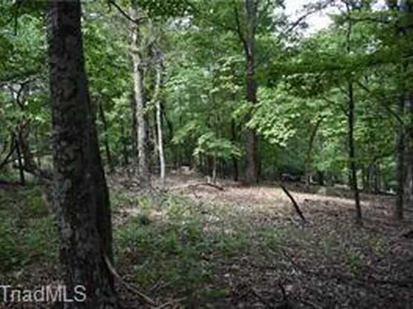 71 Grandview Cir, Traphill, NC 28685