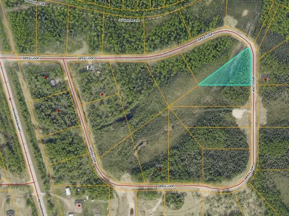 L28 Sipes Dr, Salcha, AK 99714