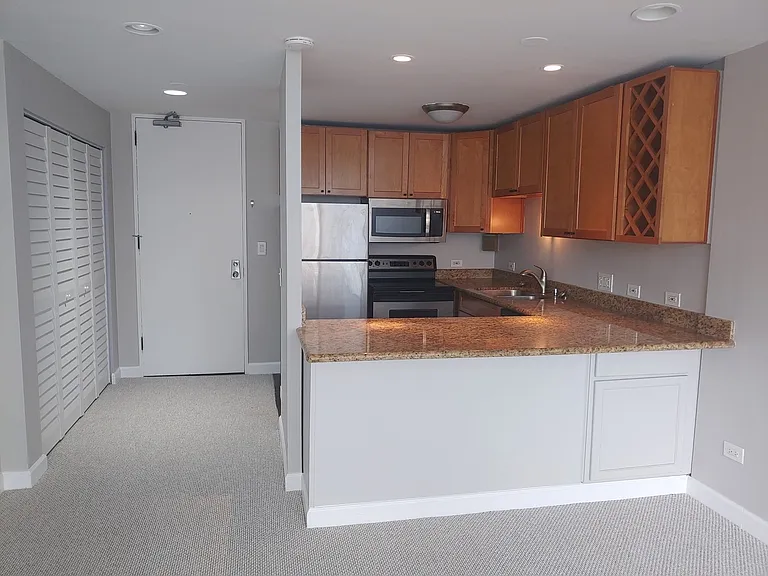 233 E Erie St #2409 — Photo 10