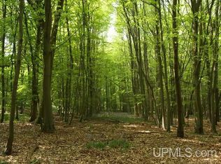 Tbd Tbd, Bark River, MI 49807