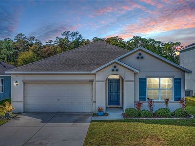 3023 Serendipity Way, Davenport, FL, 33896
