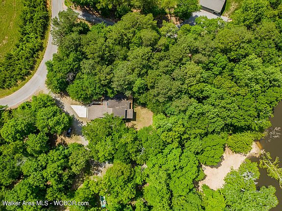 Image 4: Aerial View