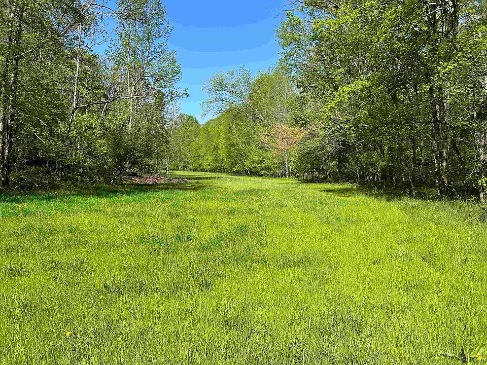 0 Second Creek Rd, Lutts, TN 38471 Zillow