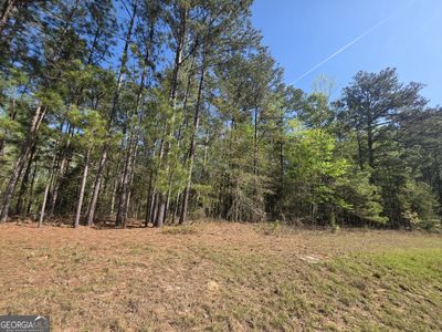 TRACT Highway 102 #A, Mitchell, GA, 30820