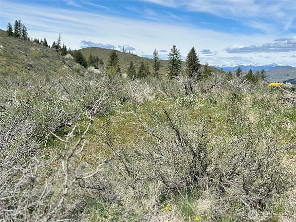 4th image of 2 x Alder Road