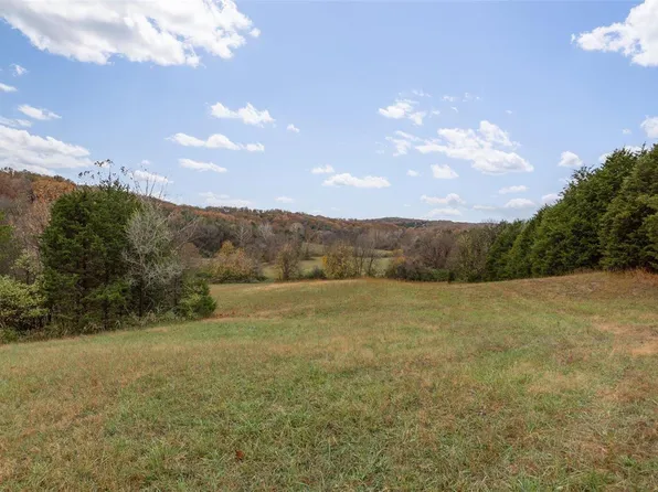 2826 Plattin Rd, Festus, MO 63028