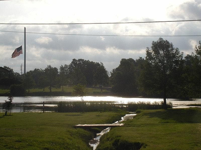 View of Schuman Park from Apartment