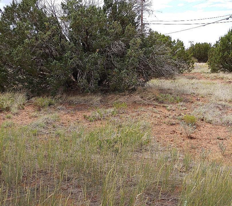 1st image of 1774 Canyon Pl
