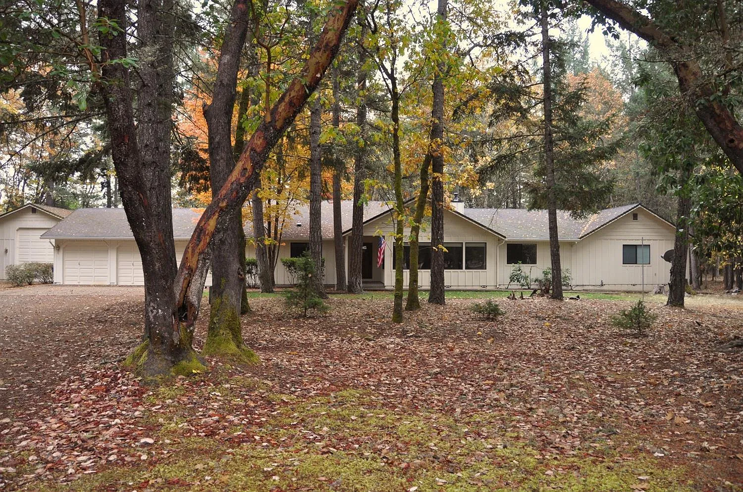 233 Northwoods Dr photo 1