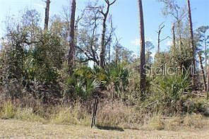 1st image of 137 Brig Cir E #334