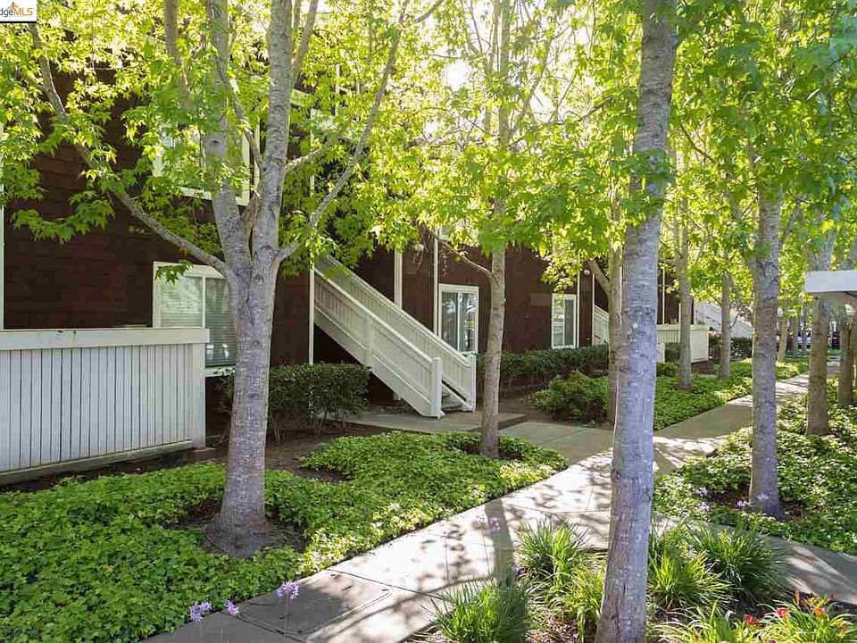 1st image of 53 Marina Lakes Dr