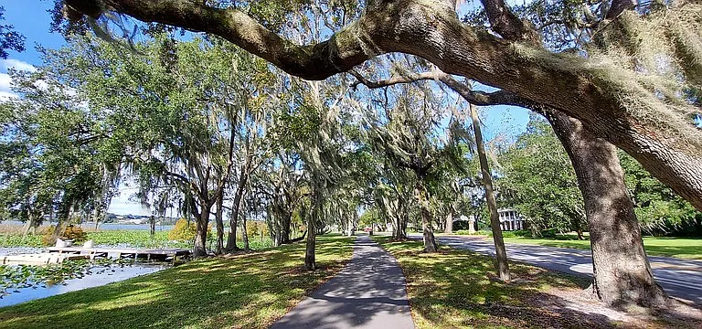 Short walk to Lake Hollingsworth