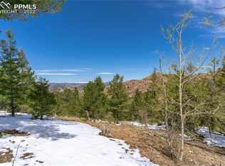 176 Ajax Ct, Cripple Creek, CO 80813