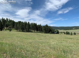 1921 S Mountain Estates Rd, Florissant, CO 80816