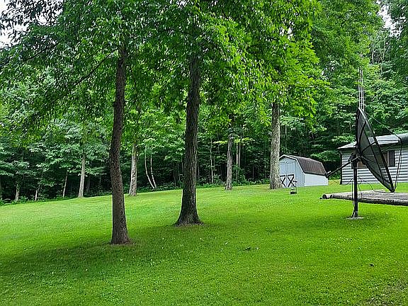 side yard & shed,satillite