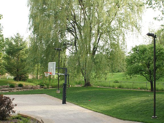 Large willow--first to green