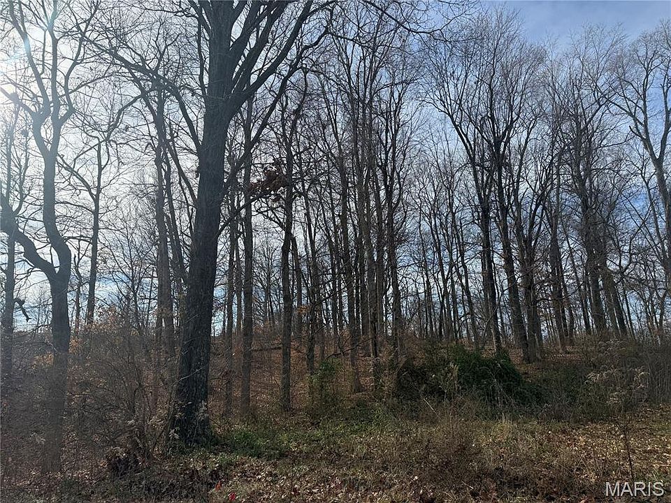 1st image of 204 Stepping Stone Way