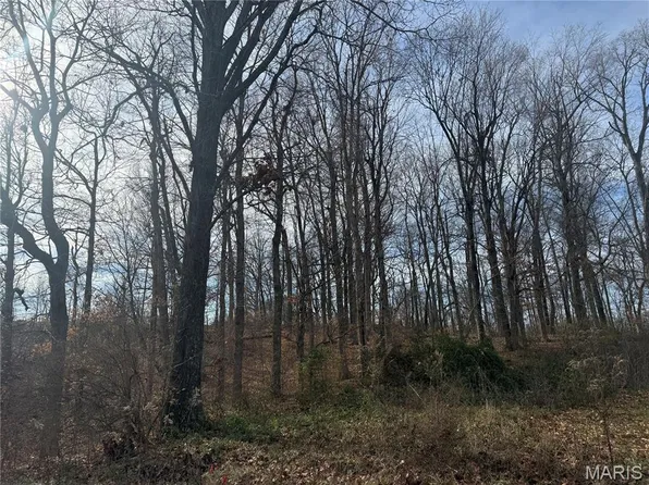 204 Stepping Stone Way, Cape Girardeau, MO 63701