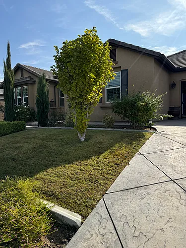10325 Monarch Dr #1 Photo 1