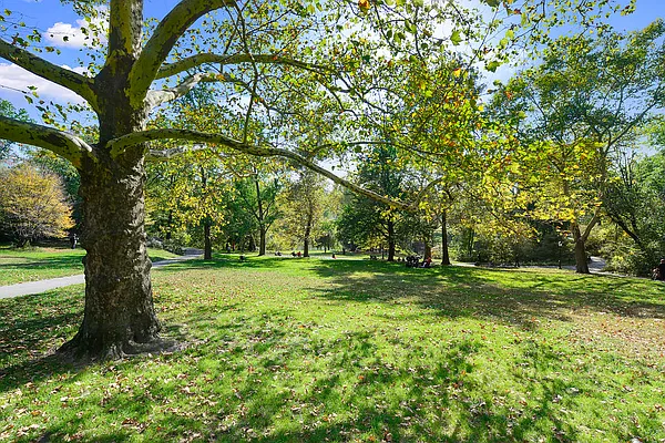 Rented by Corcoran | media 22