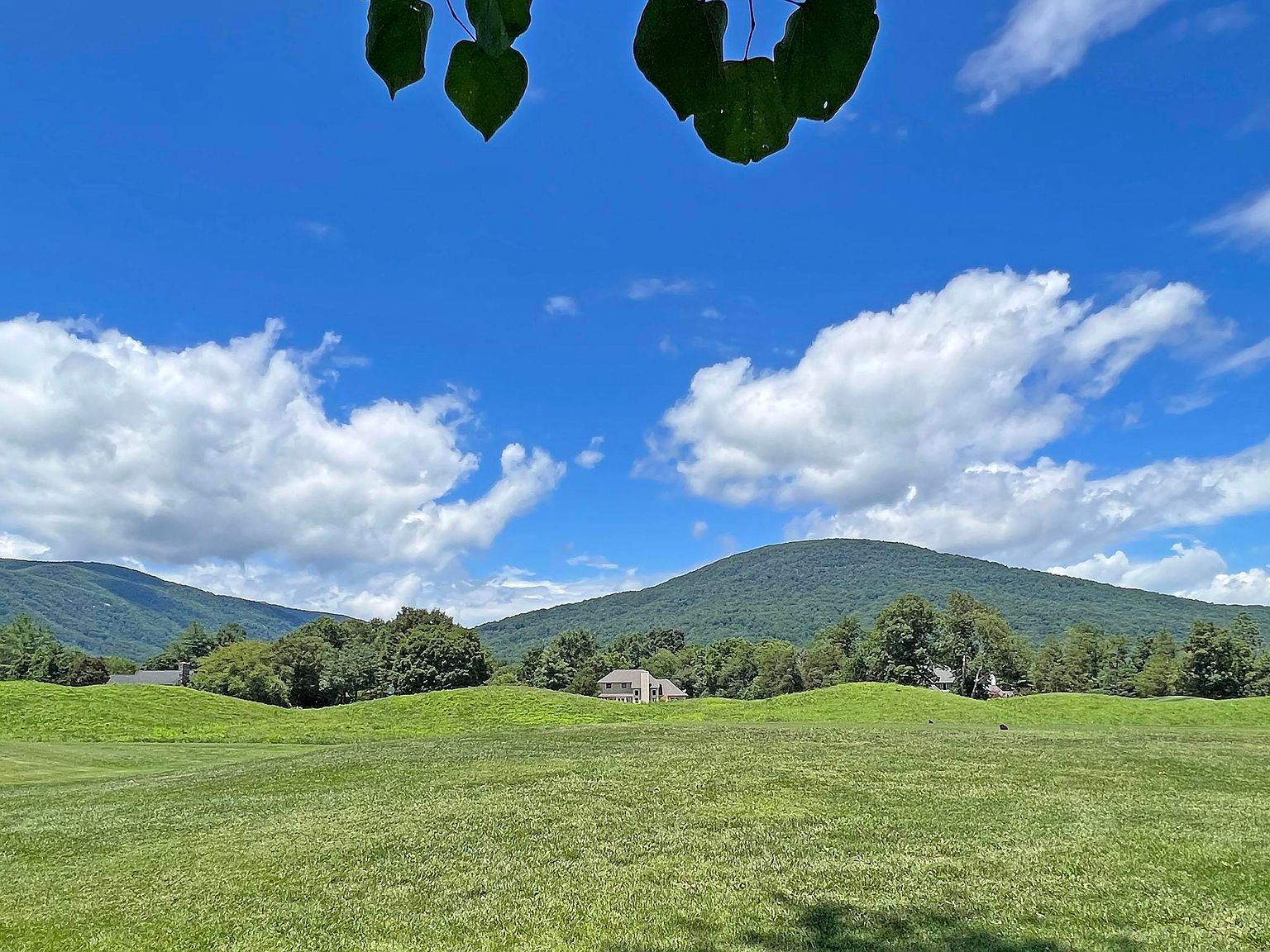 99 Blue Chickory Ln, Nellysford, VA 22958 MLS 633499 Zillow