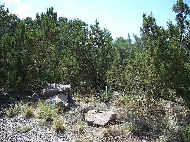 1st image of 937 Old Las Vegas Hwy