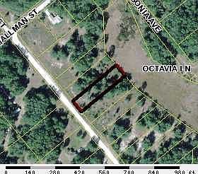 1st image of Norman St
