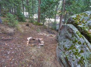 8116 S Brook Forest Road, Evergreen, CO 80439