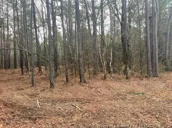 1087 Loblolly Dr, Vass, NC 28394