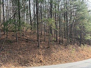 4th image of 2119 Newport Dr