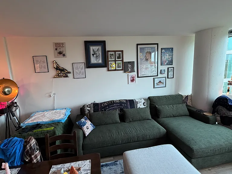 3741 N Halsted St #813 — Photo 4